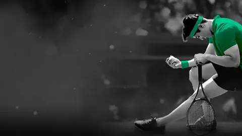 霍芬海姆迎战达姆施塔特 第16轮德甲赛事