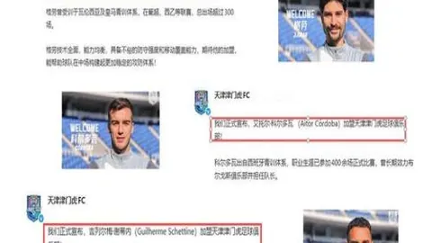 战绩辉煌暗藏风险，揭秘潜在危机！